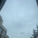 공원마트 | 하늘 일기🌤｜릴리안 베이커리(에그타르트 후기), 노동절 대비 알디 마트 장보기, 중산공원, 현지인 핫플