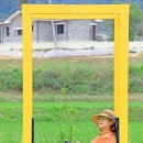 햇빛정원