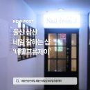 네일프롬제이