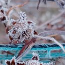 삼주1공인중개사사무소 이미지