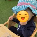 394 | 춘천 아이랑 물놀이 하기좋은카페 신북읍 카페394 방문후기(내돈내산)
