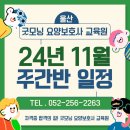 2024년 11월 주간반 교육일정 이미지