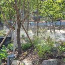 시민정원 이미지