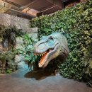 용인시축구센터 | 용인 아이랑 가볼만한곳 다이노베이 시즌3 후기 (가격·주차·꿀팁 총정리)