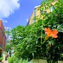 하늘꿈작은도서관 이미지