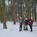 한라산둘레길 사려니숲길 이미지