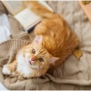 신천동물병원 이미지