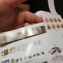 달냥이하우스 이미지