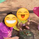 보리네숲어린이집 이미지