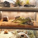 (주)에코브릿지 이미지