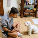 정글총각 쓰시는분 이미지