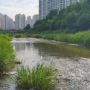 평촌연세내과의원 | 250619 최앤이치과의원 - 안양이안과의원 - 평촌연세365내과의원 ···