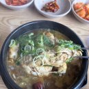 [청주 오창 맛집] 상황버섯 향 가득한 깊은 국물! 든든한 몸보신 ‘토정삼계탕’ 100% 내돈내산 후기 🍲✨
