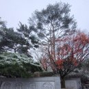 산마루식당 이미지