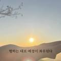 J0691 네이버블로그
