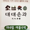 김연화농장 | 미네랄 애플수박 구매후기 - 대구 대대손과 미네랄 애플 수박 당도 높은 애플 수박 혼자 먹기 딱 좋은...