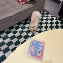 코튼볼스튜디오