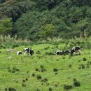 다상농장 이미지