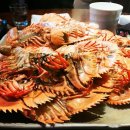 강남여인숙 이미지