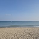 오늘의 파스타 이미지