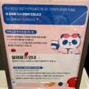 꿀백 | 중국 국민 밀크티 차백도 대구신세계 꿀조합 메뉴 추천 에코백 받은 후기