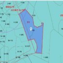 연동초교 이미지