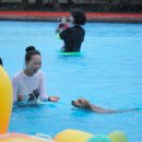 도그 스포지움 이미지