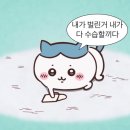 2024 LCK CL 스프링 5주차 KT vs 광동 KDF(240219) 직관 후기