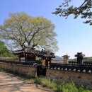 김억추 신도비와 현무묘 이미지