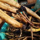 백연세탁 이미지