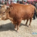 자연시간 이미지