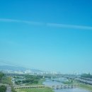 살곶이체육공원 인라인스케이트장