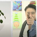 스튜디오달 이미지