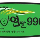 웰빙헤어샵 네이버블로그