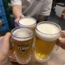 오늘통닭1977 | 사당역 야장 맛집 오늘통닭 사당2호점 닭똥집 1977치킨 내돈내산 후기