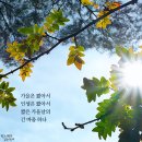 가을하늘민