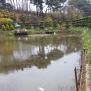 태안선구사 이미지