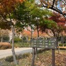 약대공원 이미지