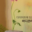 엠브이핏(MVFIT) 이미지