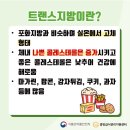 클린트랜스
