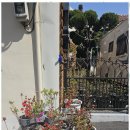 유달산의 아침 이미지