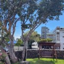 동백낭아래 키즈 독채 펜션 이미지