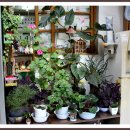 구와우순두부 이미지