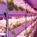 에이치엘비파워(주) 이미지