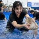 남당건어물 | 서천 가볼만한곳｜2026 장항항 꼴갑축제 먹거리 체험 주변여행지 총정리