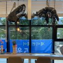 퀸미용실 | 화곡역 미용실 어디가 괜찮을까? 제이퀸헤어 직접 다녀온 솔직 후기✂️