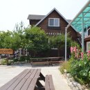 햇빛부서지는바다 이미지