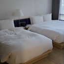 하운드 송정 이미지