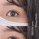 블루미니즈 이미지