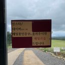메밀꽃 화장실 | 오라동 메밀밭 넓게 펼쳐져 있는 메밀꽃 방문 후기